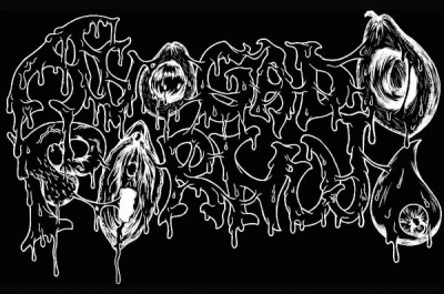 logo Avocado Pornujo